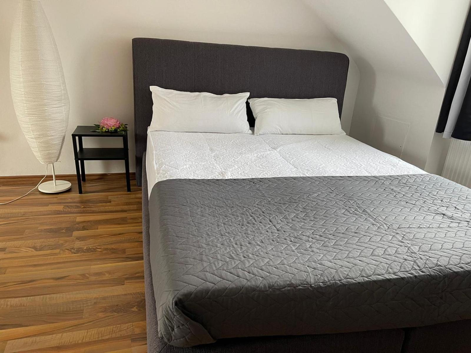 Geraeumige 3-Zimmer-Ferienwohnung Im Herzen Von Кассель Екстер'єр фото